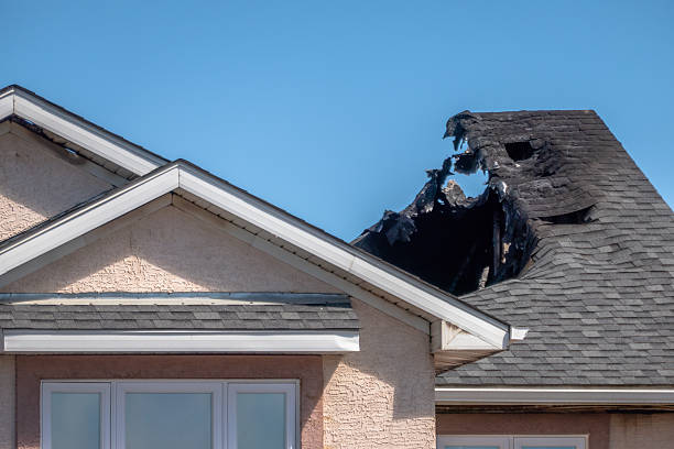 Top rated local Odor Removal specialists in Randolph, MN